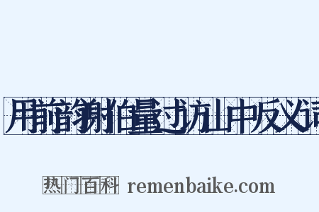 用前韵谢伯量过访山中反义词是什么意思的图片